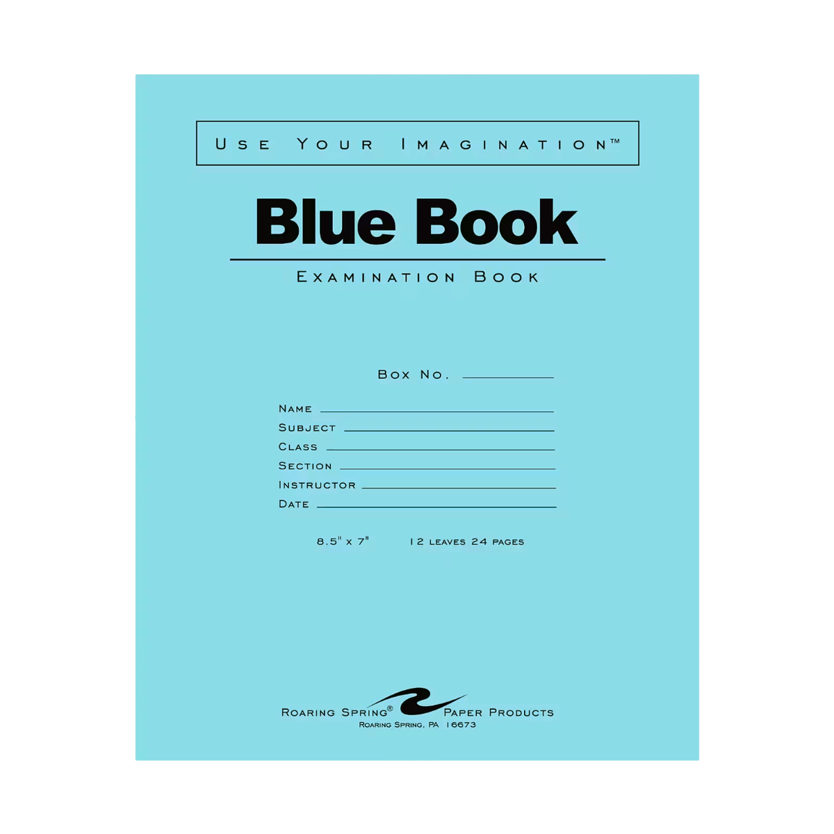 mini blue book exam